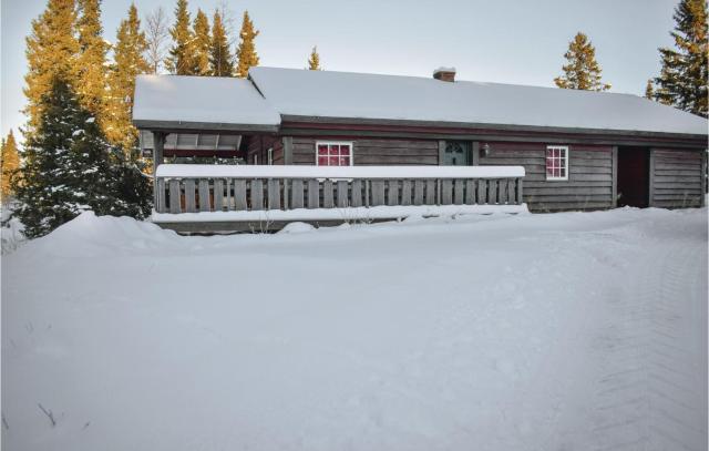 Gorgeous Home In Gol With Sauna