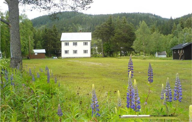 Nice Home In Høydalsmo With Lake View