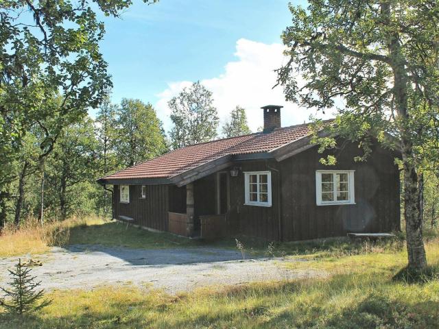 Three-Bedroom Holiday home in Nesbyen