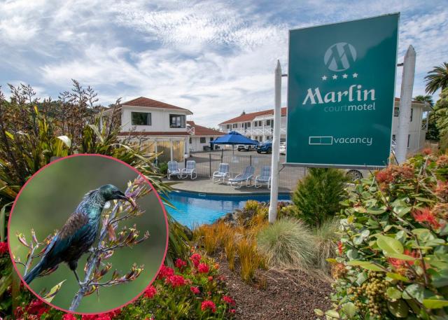 Marlin Court Motel