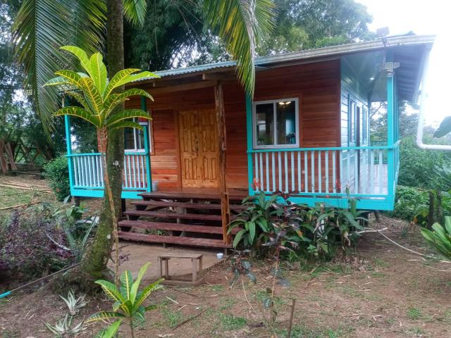 The Bamboo House