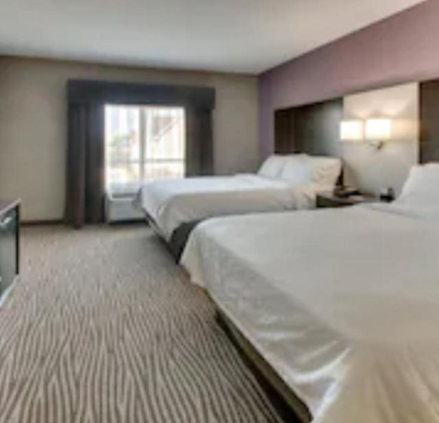 Holiday Inn Express & Suites Cheektowaga North East, an IHG Hotel