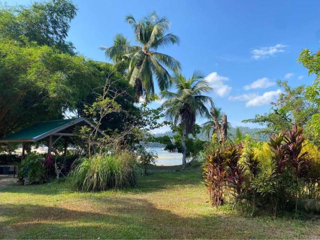 Port Barton - Paradiso Azul Campsite Beachfront with Internet